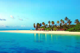 年前看市场,本土新能源车型受欢迎,杭州租车价格涨幅明显